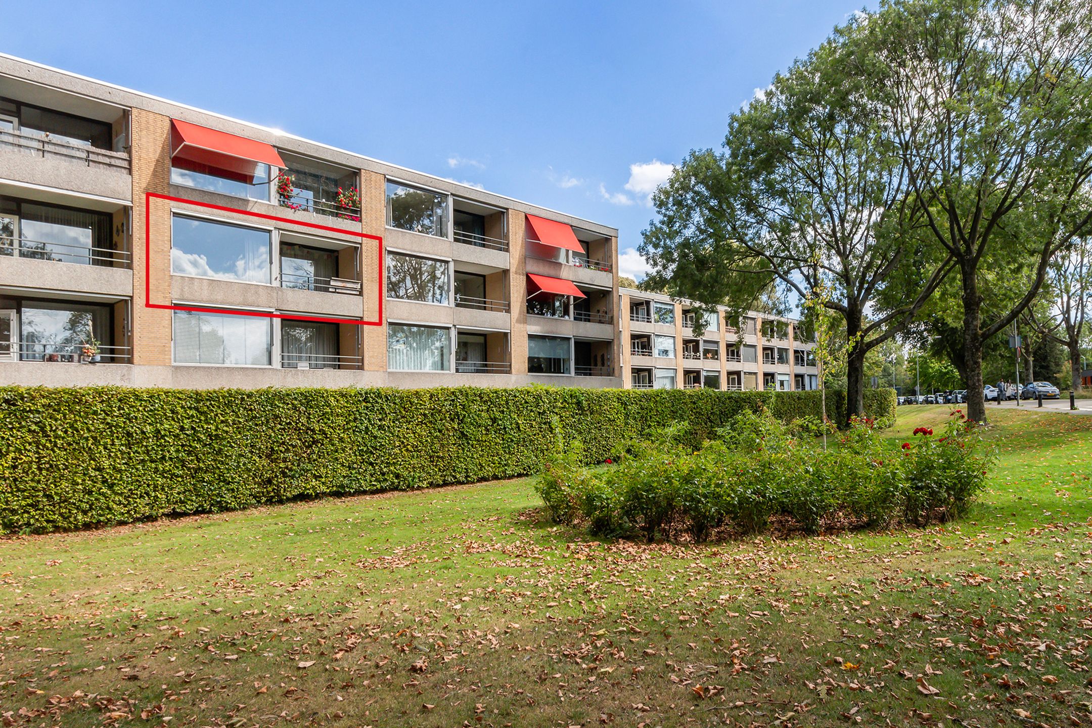 Foto 6 van Campanula 82