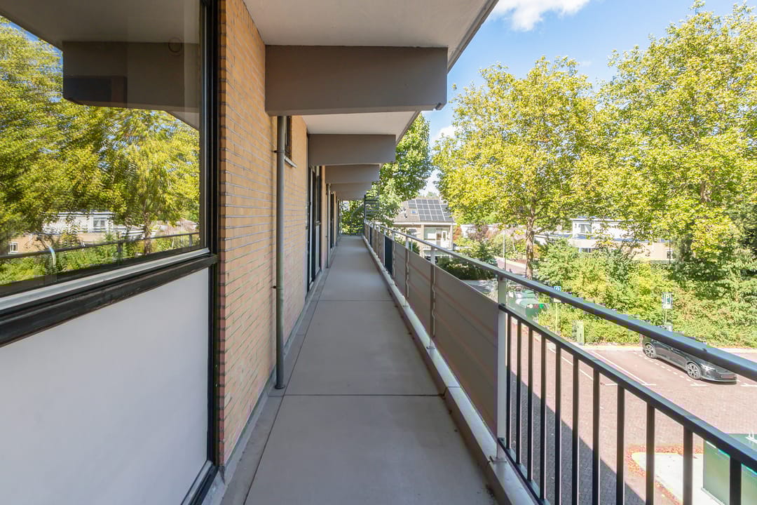 Foto 7 van Campanula 82