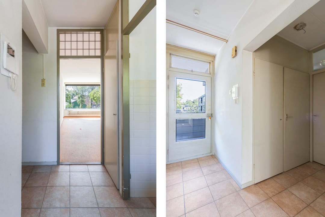 Foto 8 van Campanula 82