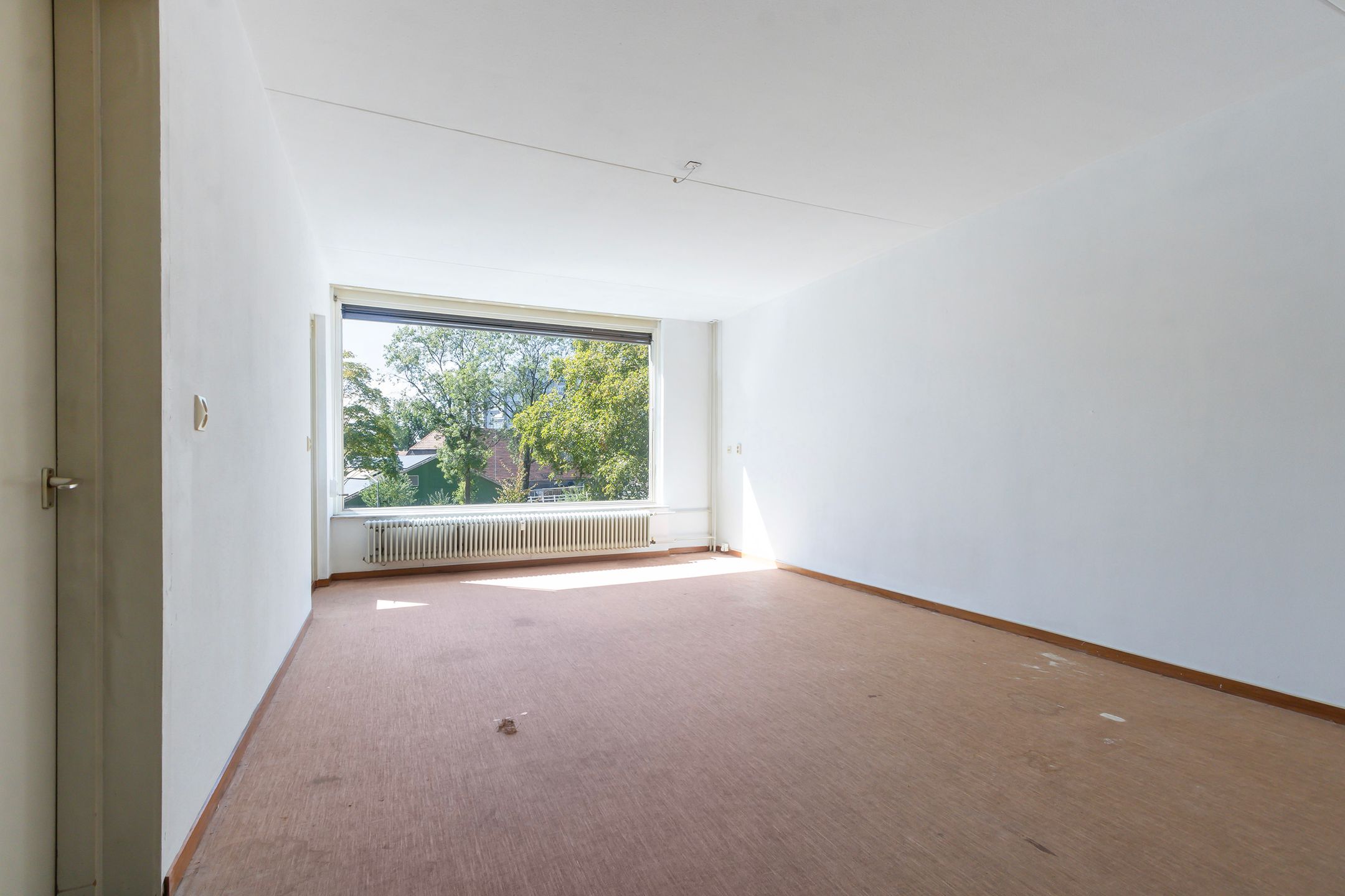 Foto 9 van Campanula 82