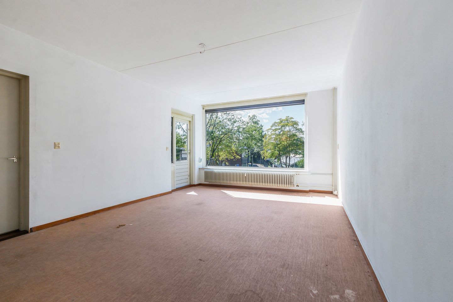 Foto 10 van Campanula 82