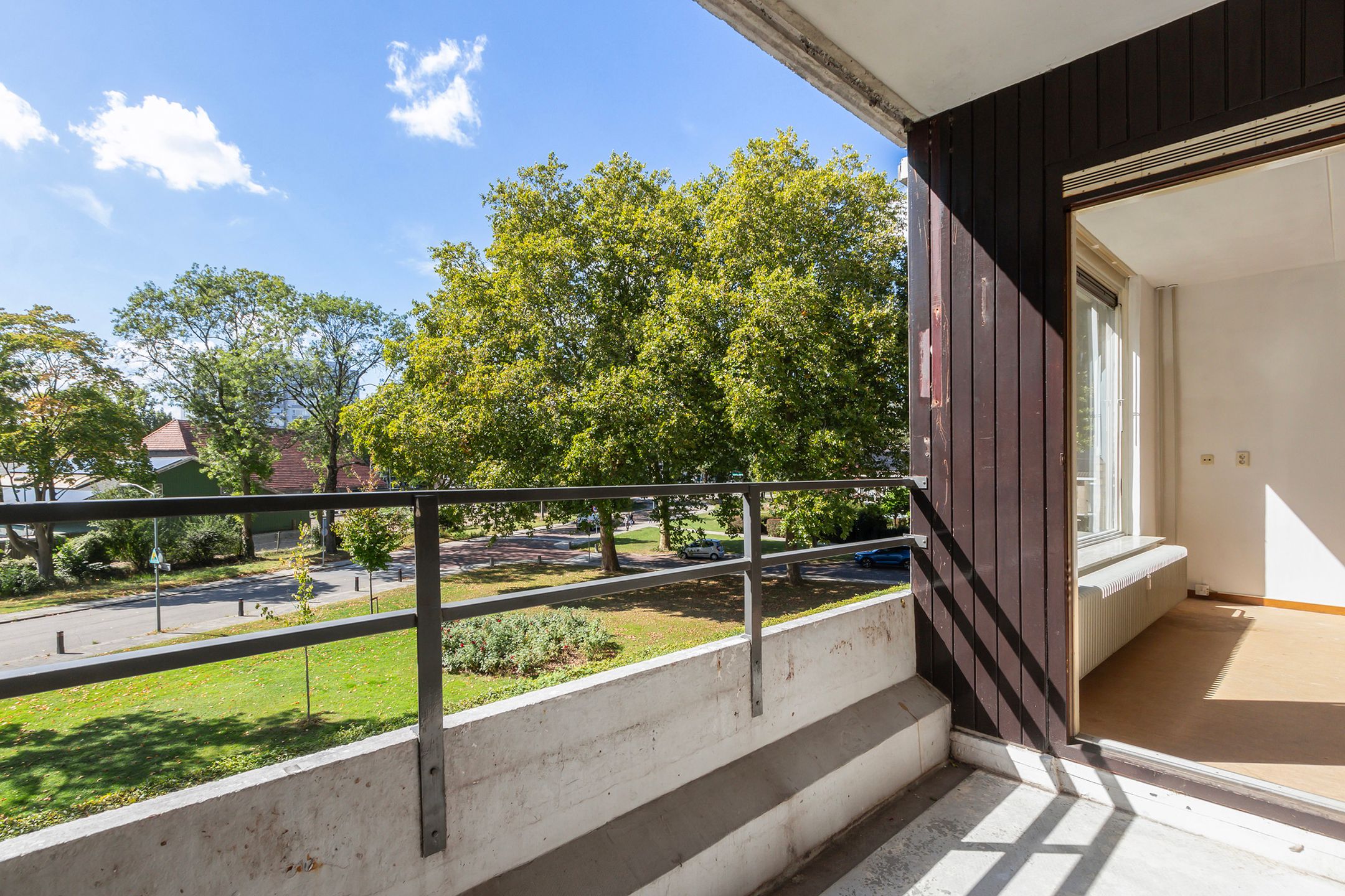 Foto 12 van Campanula 82