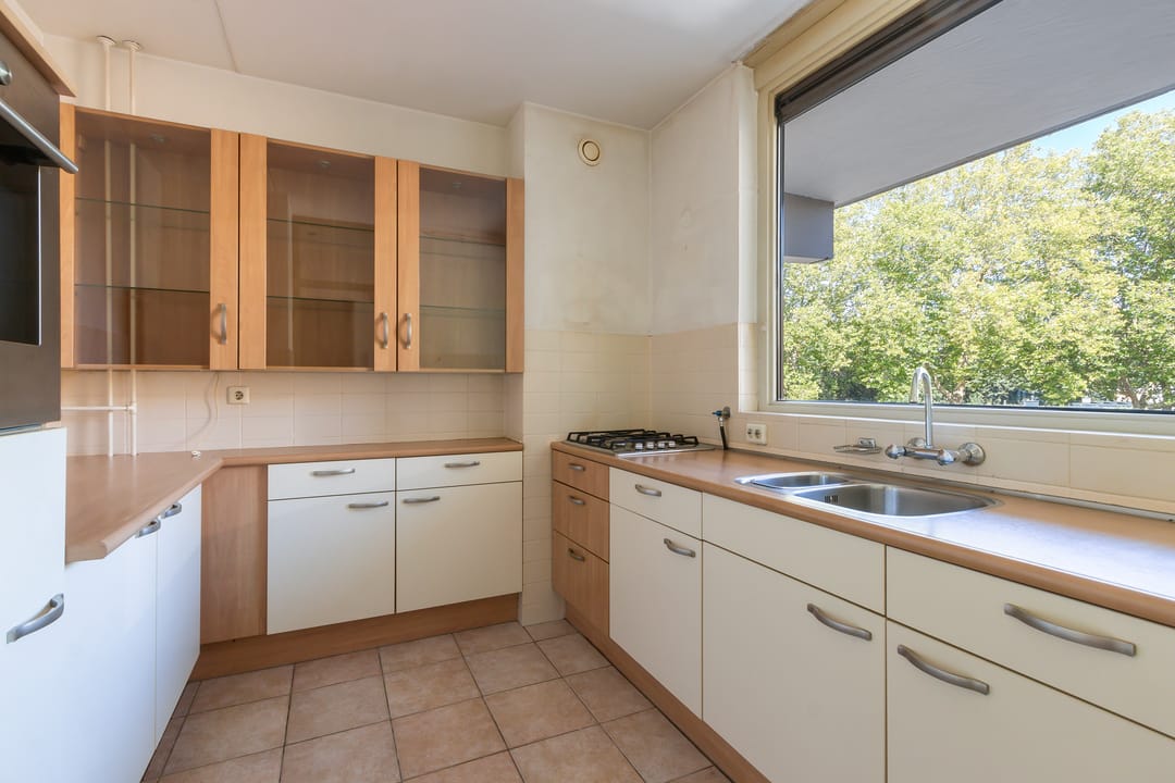 Foto 13 van Campanula 82