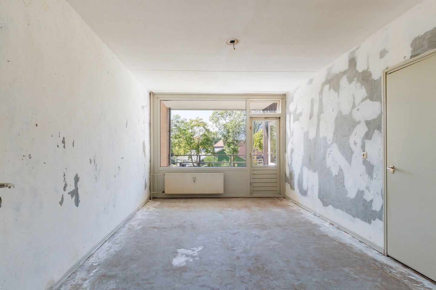 Foto 14 van Campanula 82