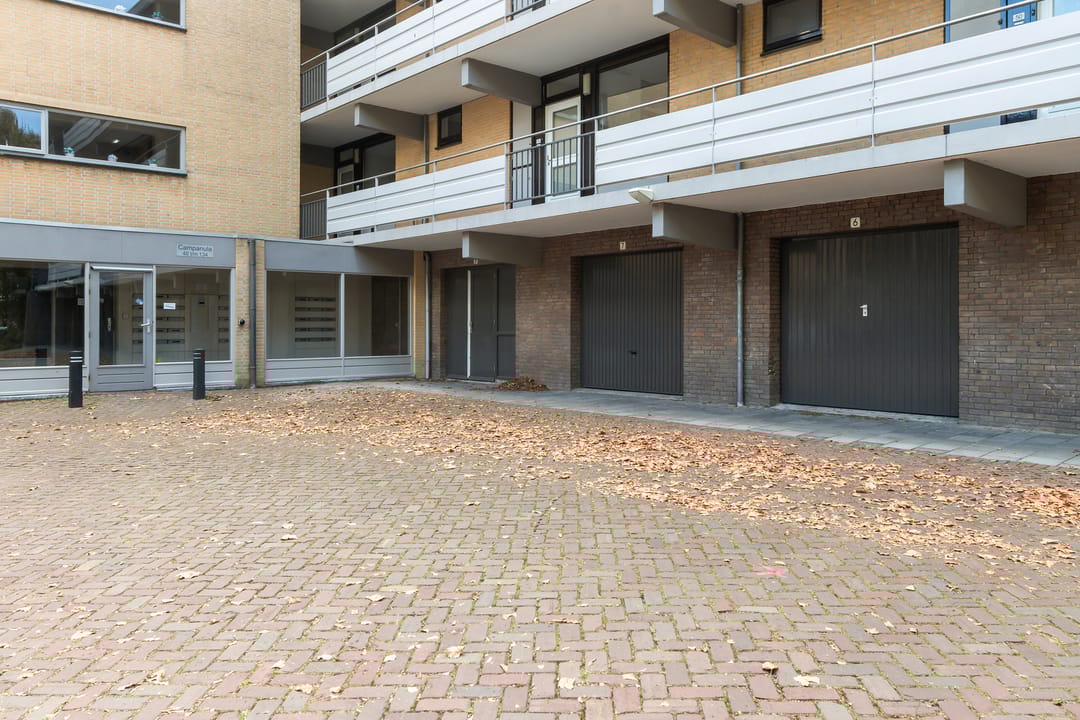 Foto 16 van Campanula 82