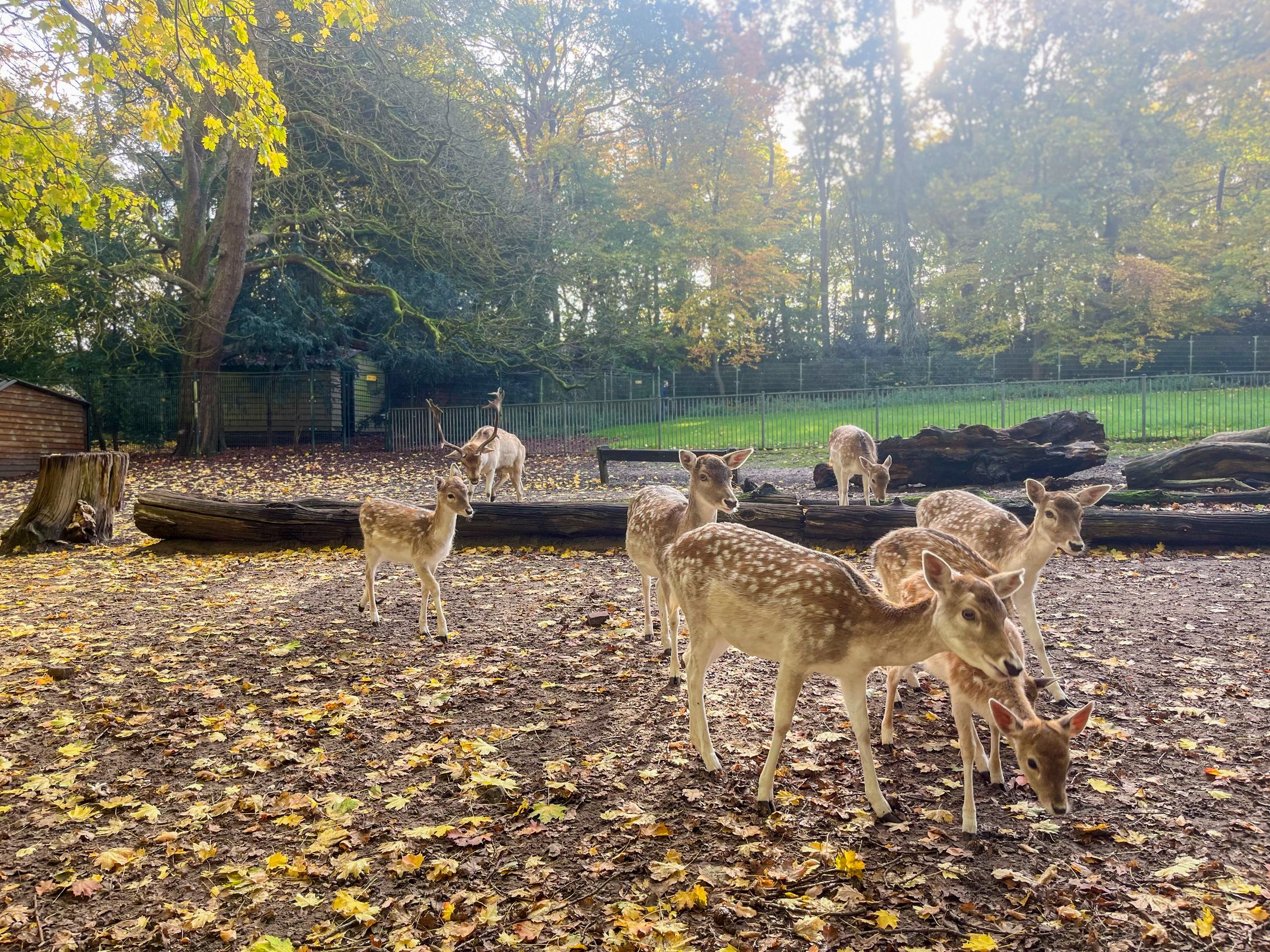 Foto 30 van Gaslaan 95