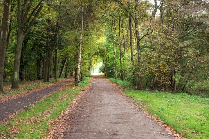 Photo 13 of Oosteinderweg 569