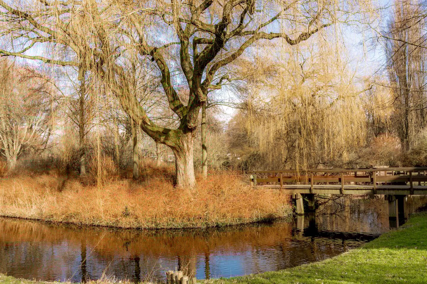 Foto 25 van Dr. Willem Dreesweg 361