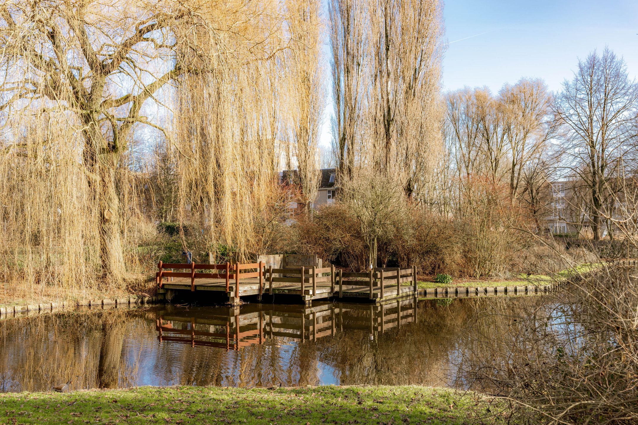 Foto 27 van Dr. Willem Dreesweg 361