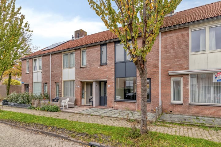 Photo 3 of Koolmees 36