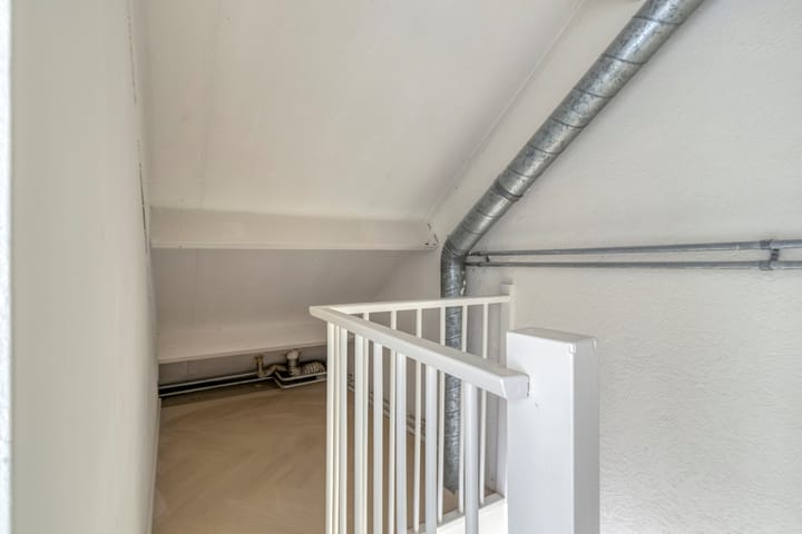 Foto 22 van Koolmees 36