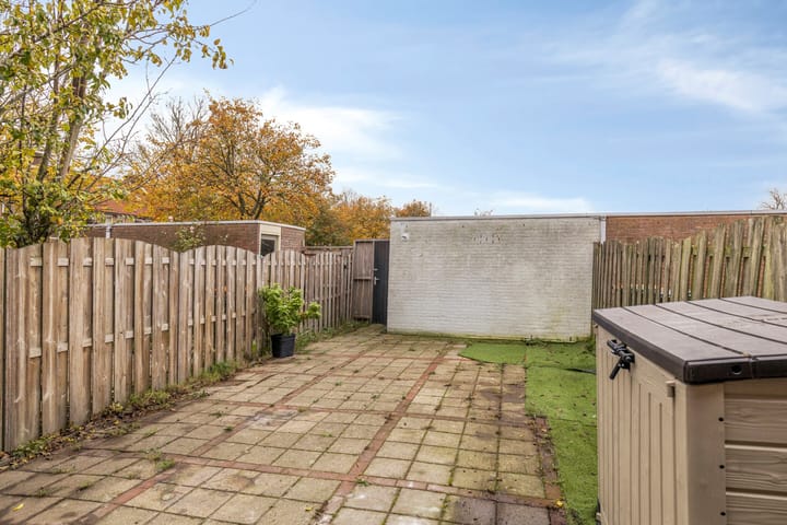 Foto 26 van Koolmees 36