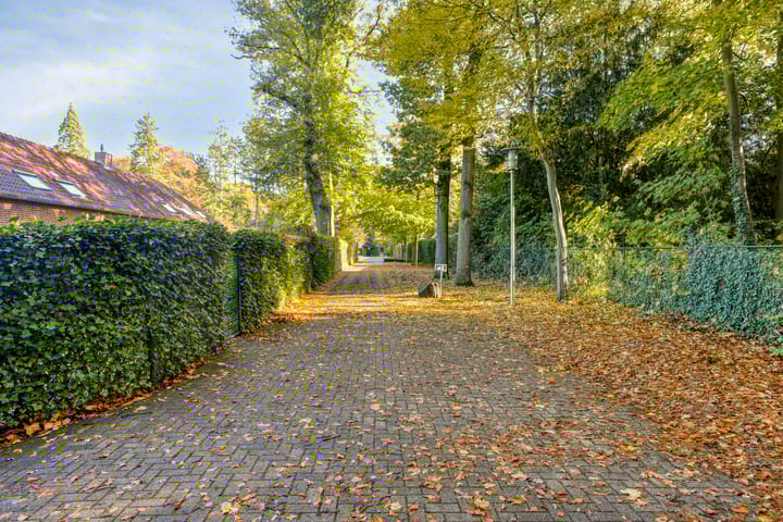 Photo 43 of Waterloseweg 6-D