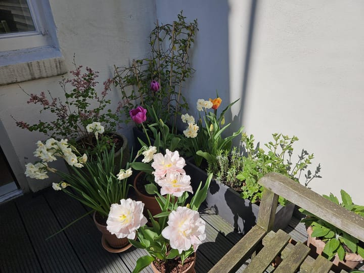 Photo 26 of Prinseneiland 93-B