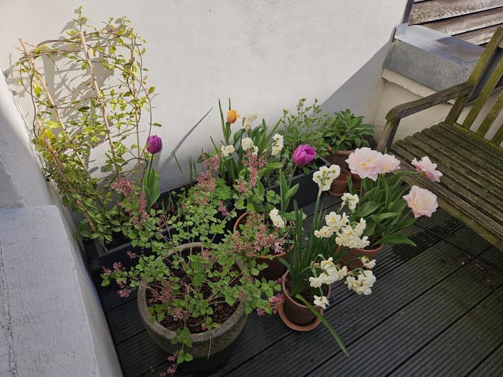 Photo 27 of Prinseneiland 93-B