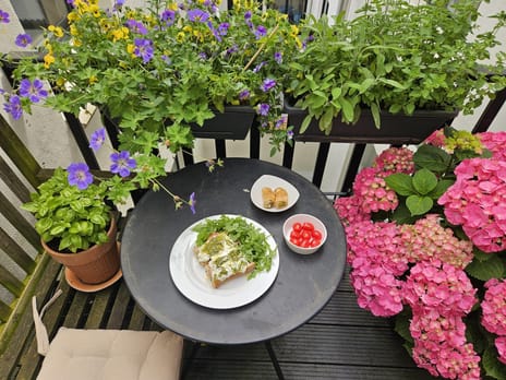 Prinseneiland 93-B tertiary image