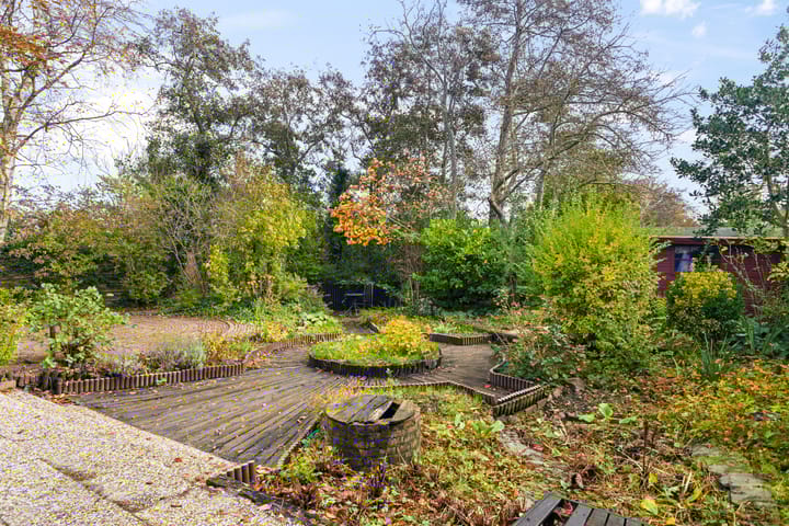 Foto 19 van Vogelzand 3628