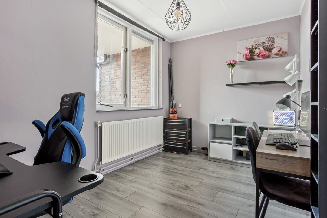 Foto 11 van Goudmos 86