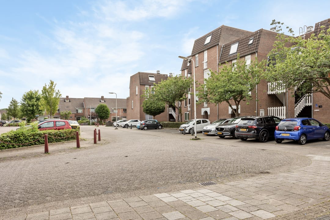 Foto 16 van Goudmos 86