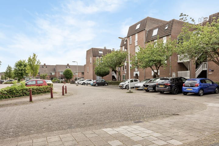 Photo 17 of Goudmos 86