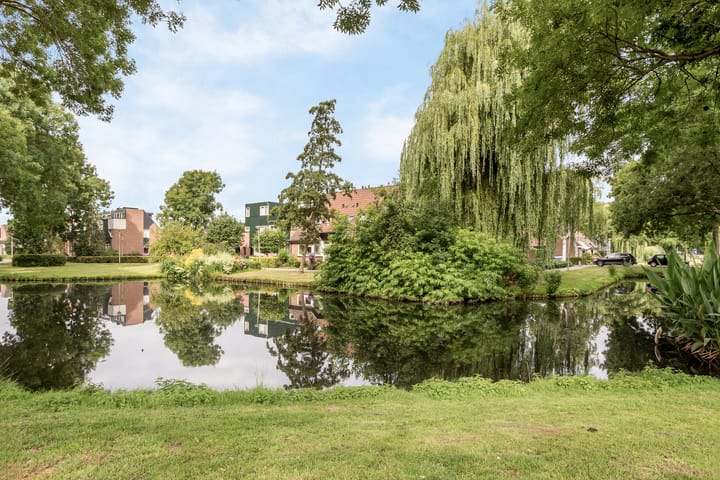 Photo 18 of Goudmos 86