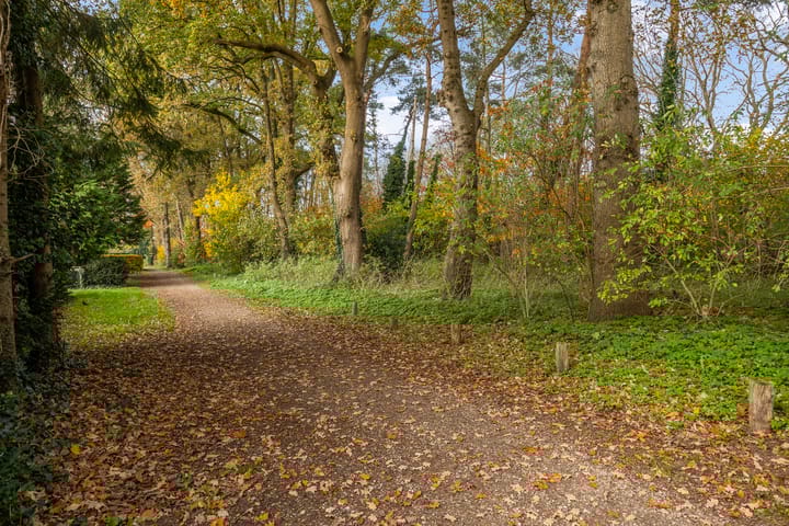 Foto 46 van Larixweg 18