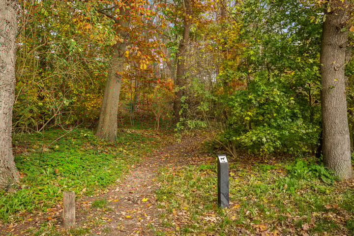 Foto 47 van Larixweg 18