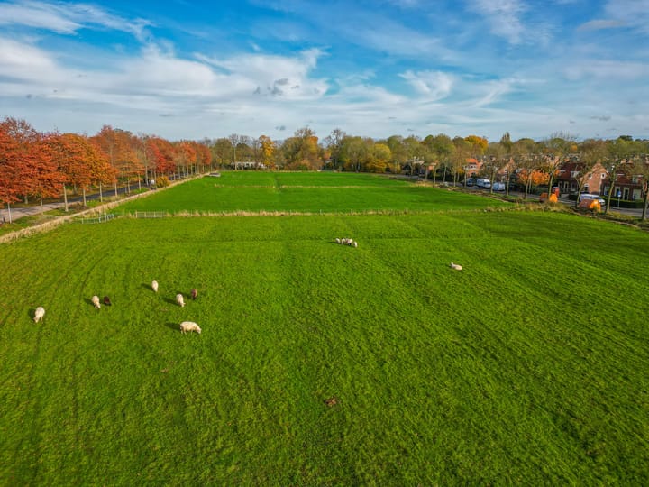 Photo 51 of Stadsweg 19-A