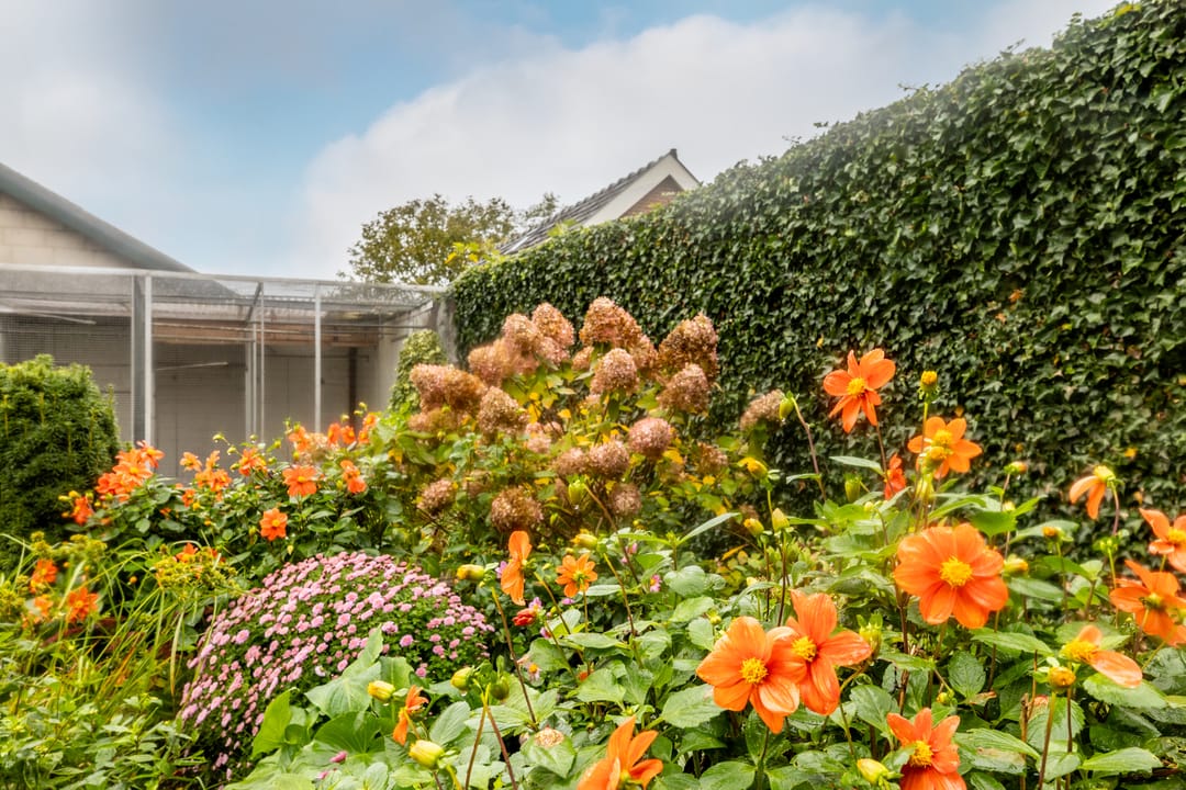 Photo 46 of Langeweg 38