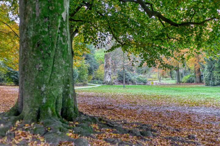 Foto 44 van Groen van Prinstererweg 45