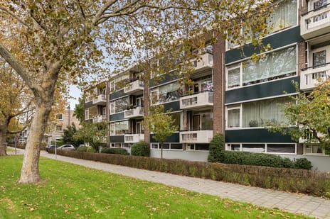 Berliozlaan thumbnail