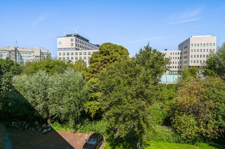 Foto 15 van Nicolaas Beetslaan 41