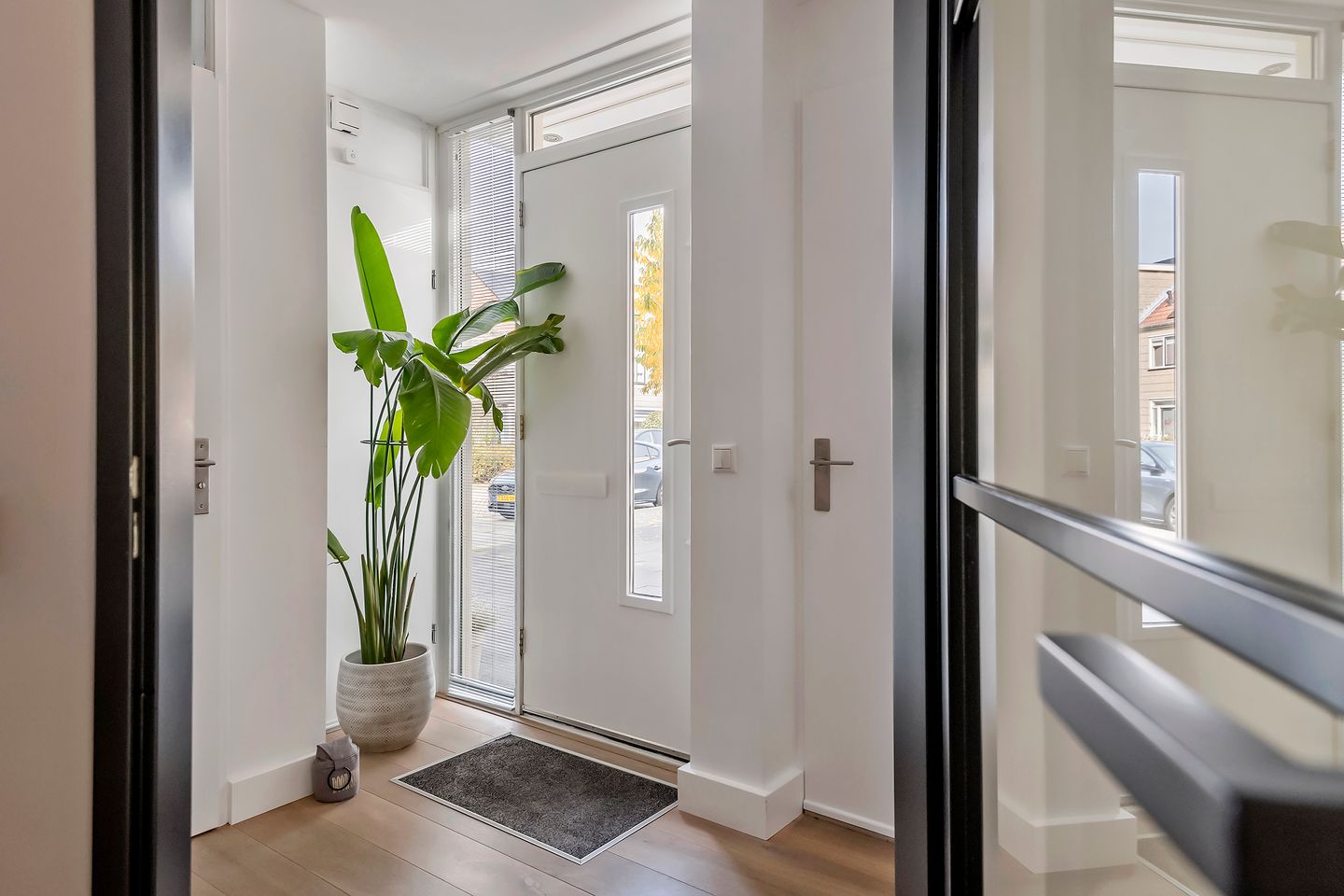 Foto 10 van Zonnedauw 51