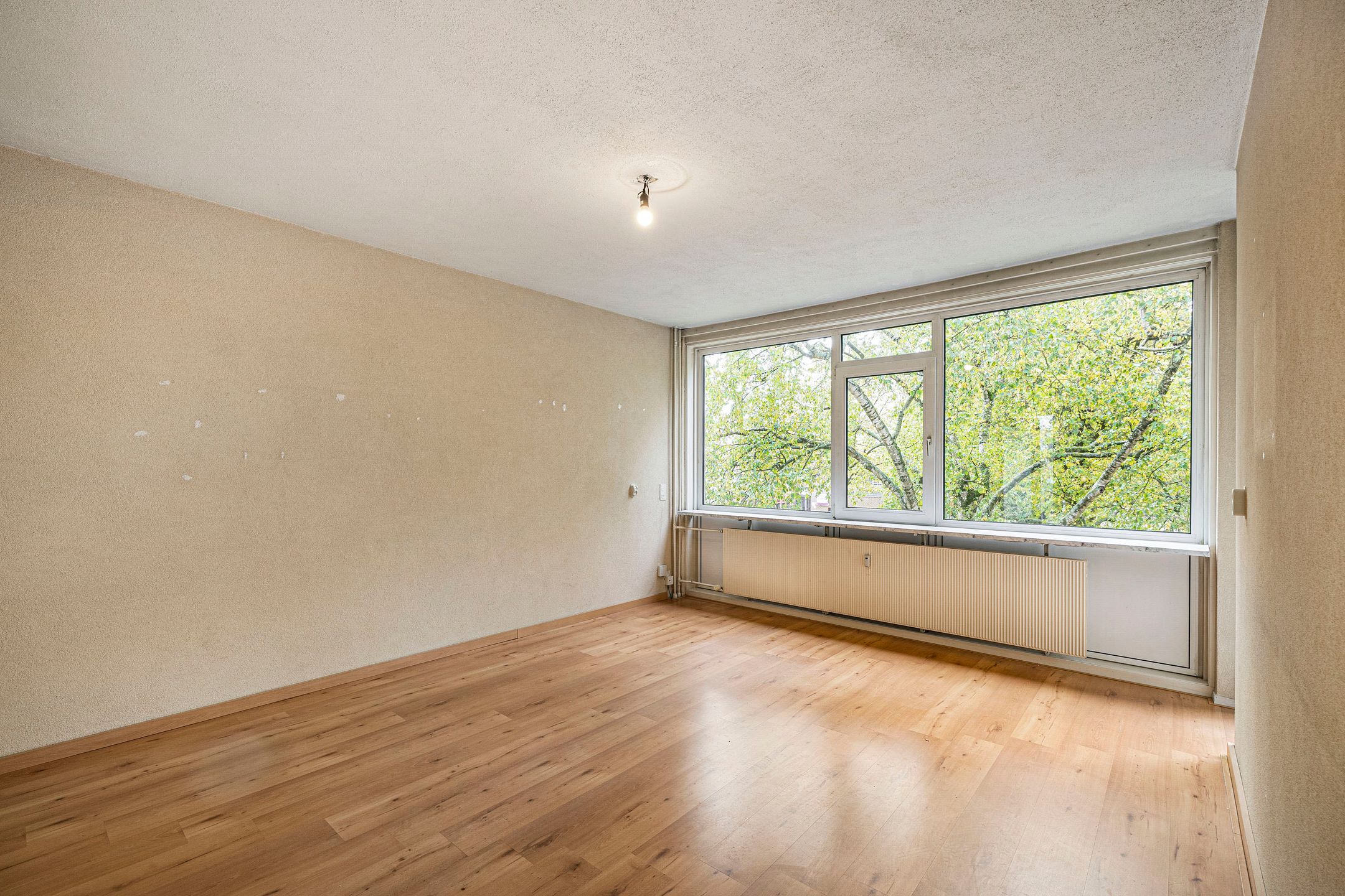 Foto 3 van Weerdestein 59