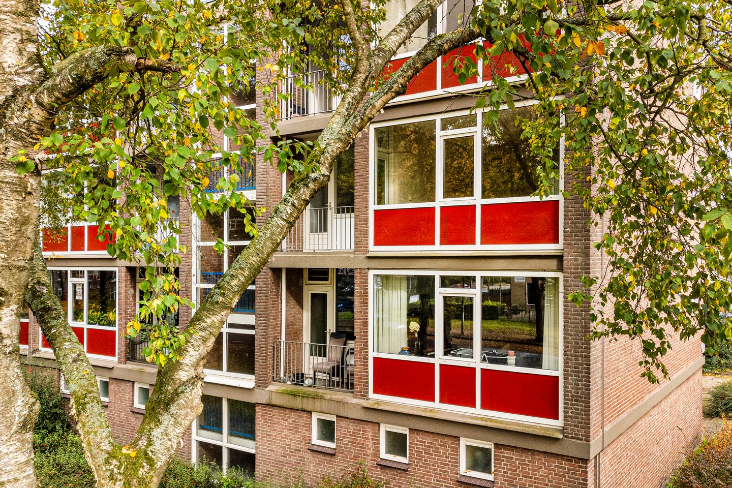 Foto 19 van Weerdestein 59