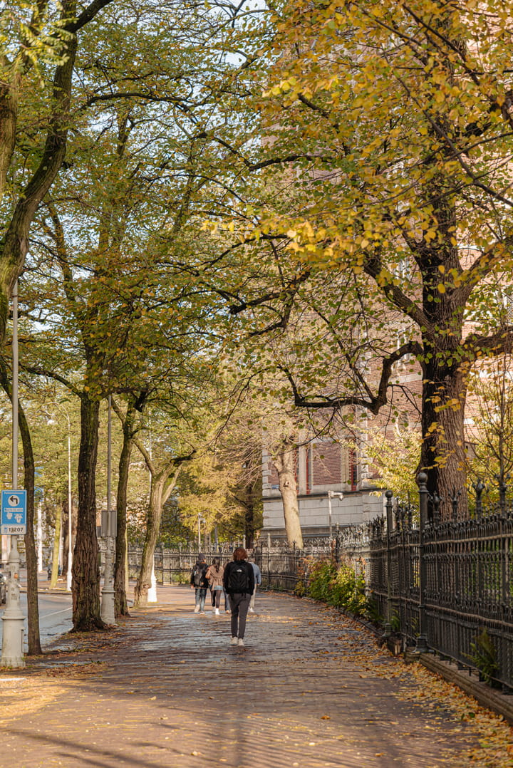 Foto 23 van Jan Luijkenstraat 6-2