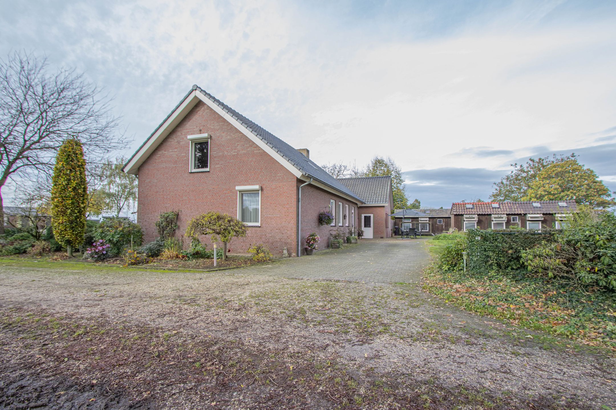 Photo 36 of Dries 26