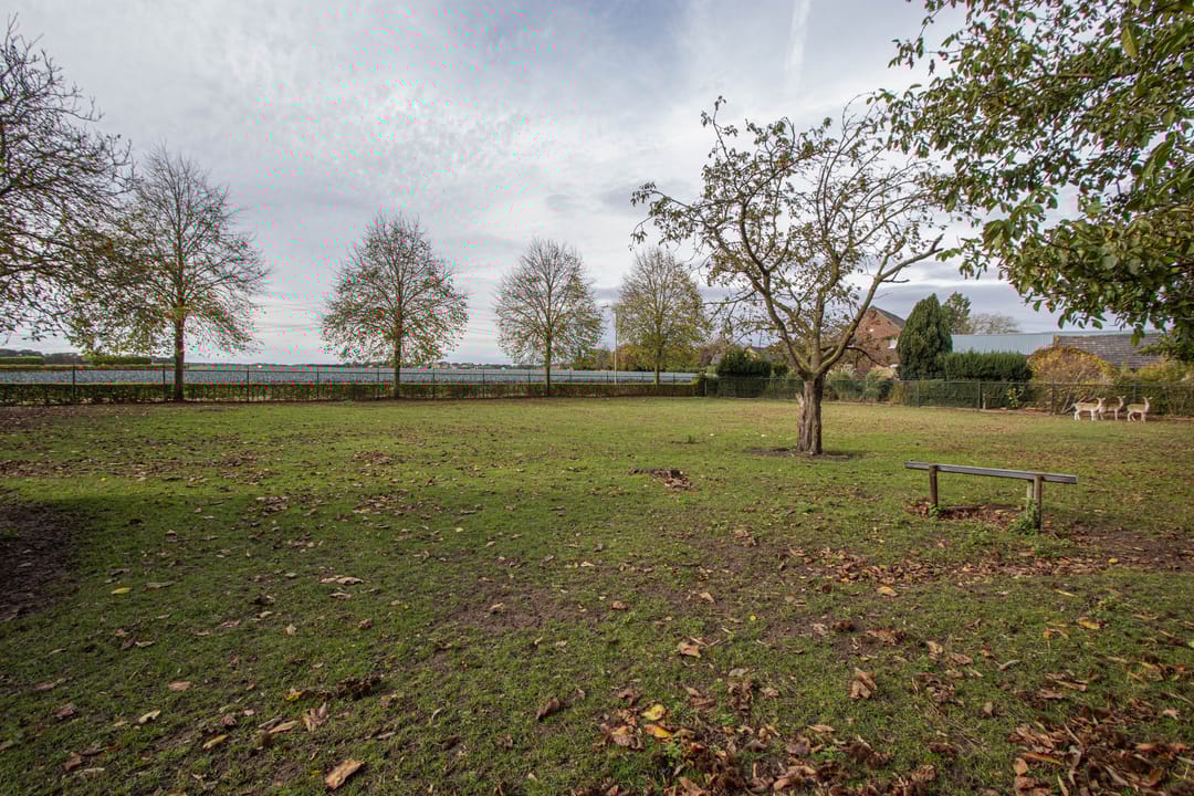 Photo 37 of Dries 26