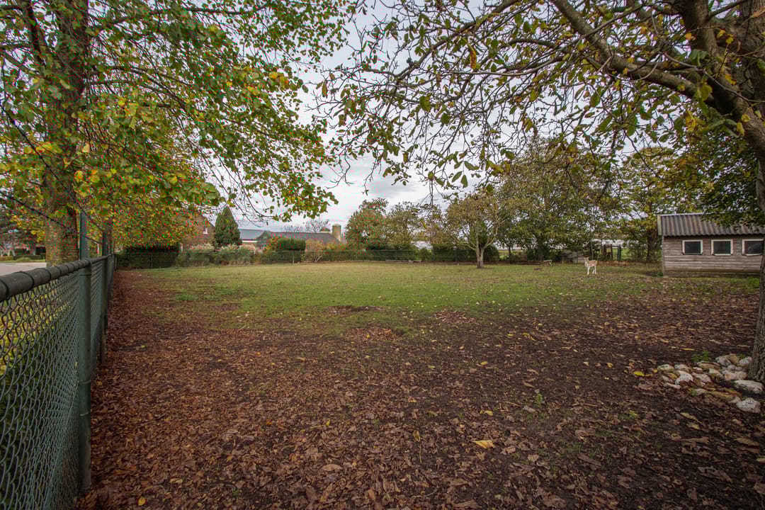 Photo 38 of Dries 26