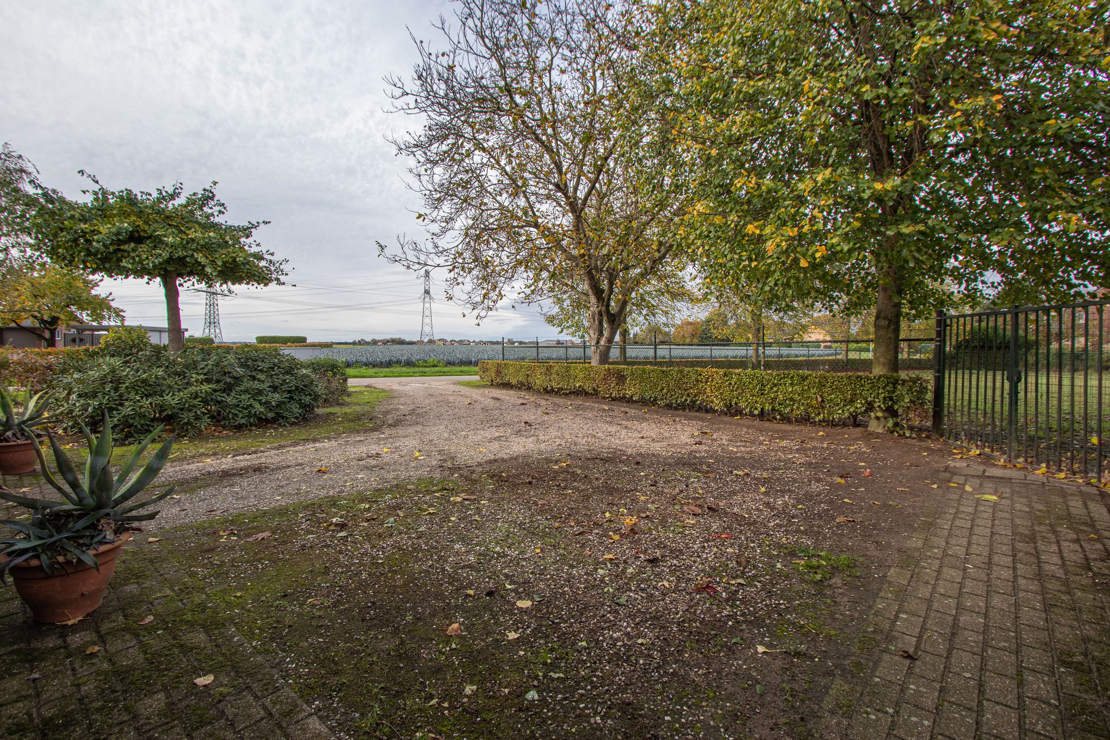 Photo 39 of Dries 26