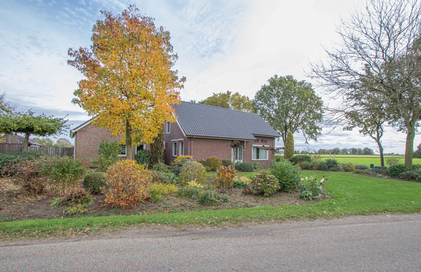 Photo 40 of Dries 26