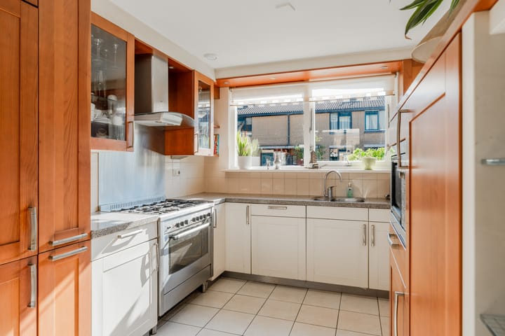 Foto 3 van Citroenvlinder 13