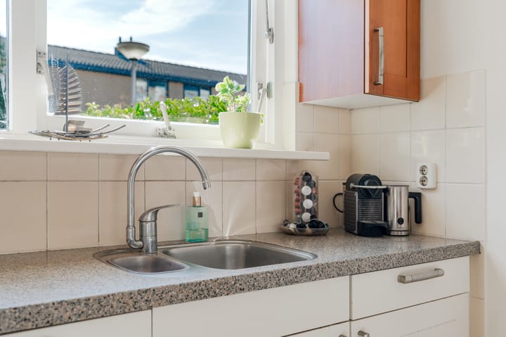 Foto 21 van Citroenvlinder 13