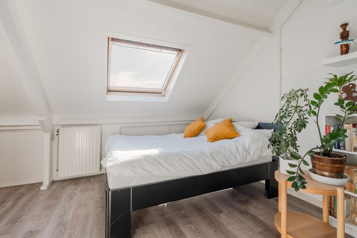 Foto 47 van Citroenvlinder 13