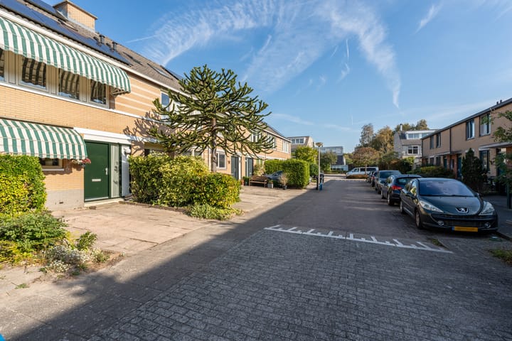 Foto 52 van Citroenvlinder 13