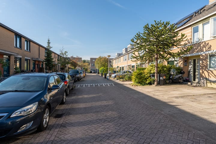 Foto 53 van Citroenvlinder 13