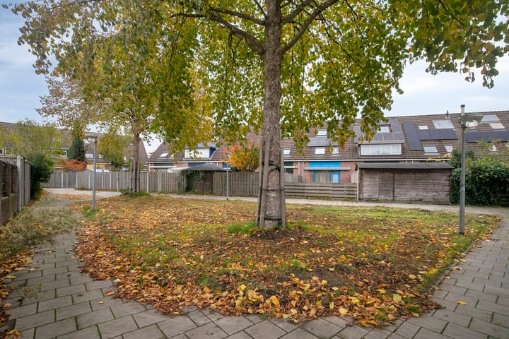 Photo 26 of Griend 24 20