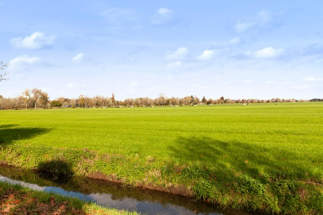 Foto 32 van De Bongerd 25