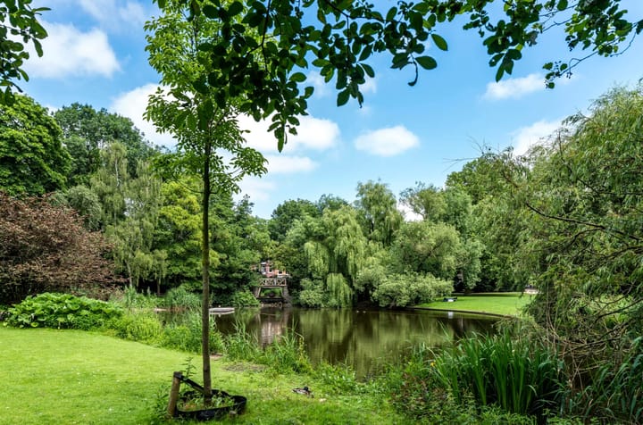 Foto 18 van Van Woustraat 45-2