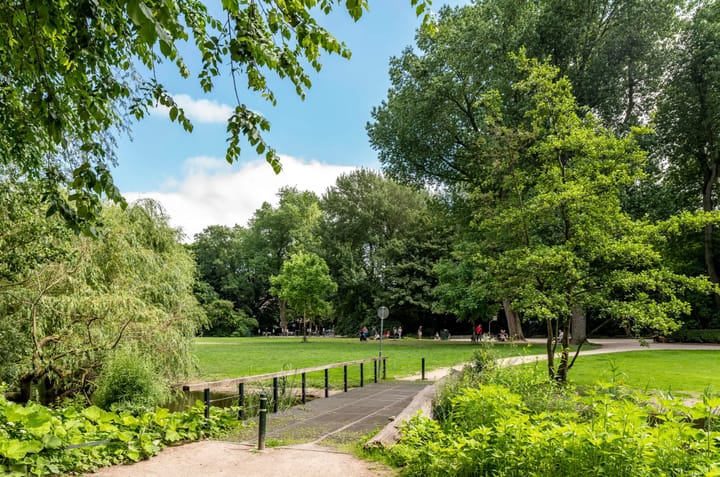 Foto 19 van Van Woustraat 45-2